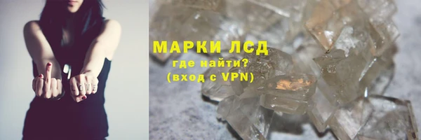 крисы Дмитров