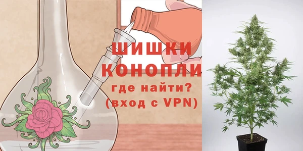крисы Дмитров