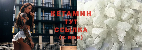 крисы Дмитров