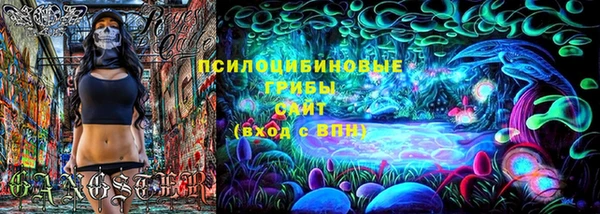 крисы Дмитров