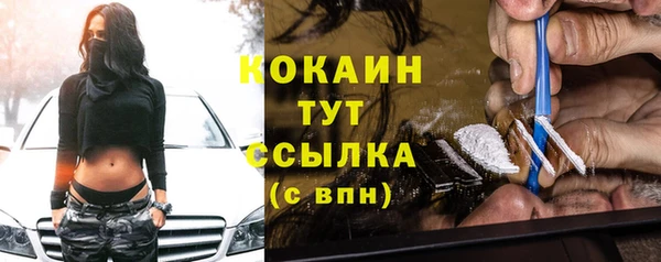 крисы Дмитров