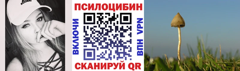 как найти   Дюртюли  MEGA ONION  Галлюциногенные грибы Magic Shrooms 
